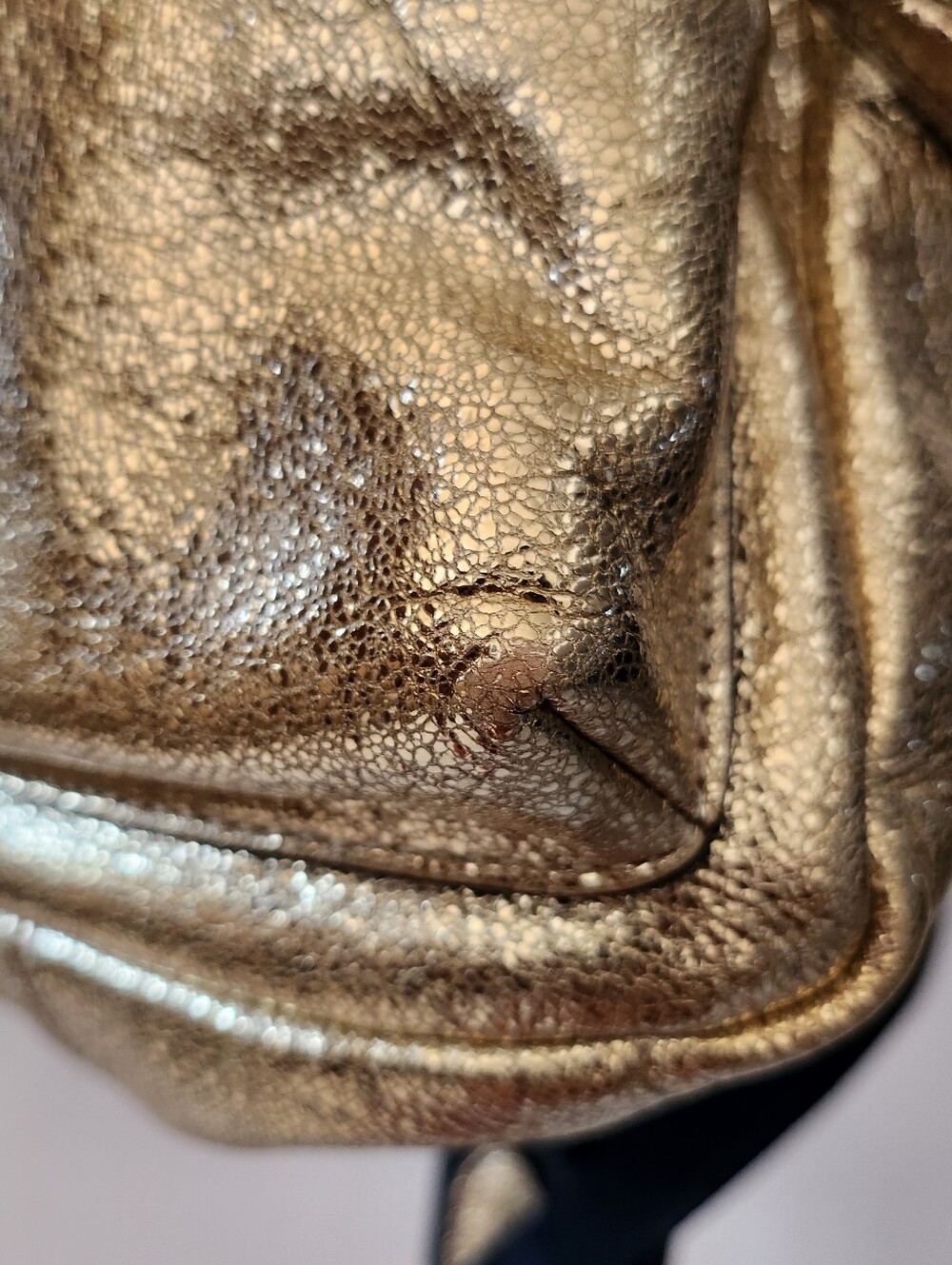 Coach Gold Mini Backpack and Case Bundle - Picture 15 of 16